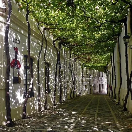 En El Centro De Jerez * Jerez de la Frontera